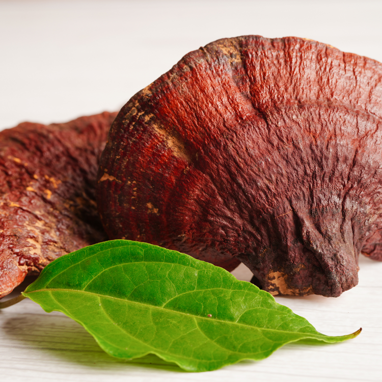 Mushroom Powder