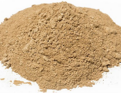 Lion's Mane Mushroom Powder Organic image 1