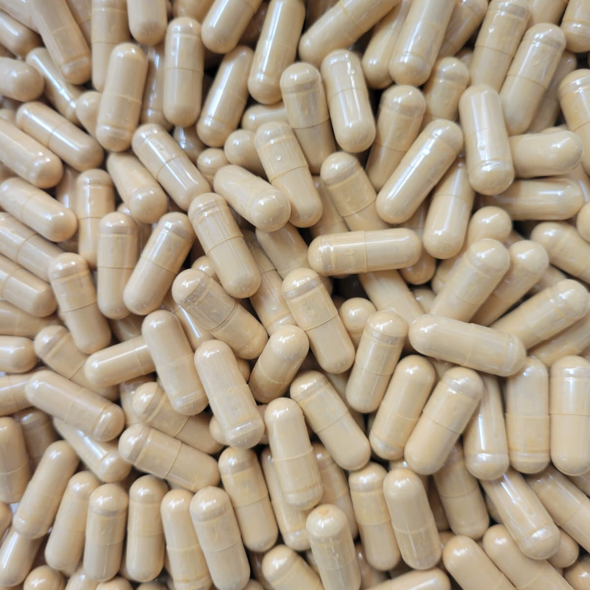 CORDYCEPS MUSHROOM CAPSULES