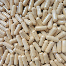 CORDYCEPS MUSHROOM CAPSULES